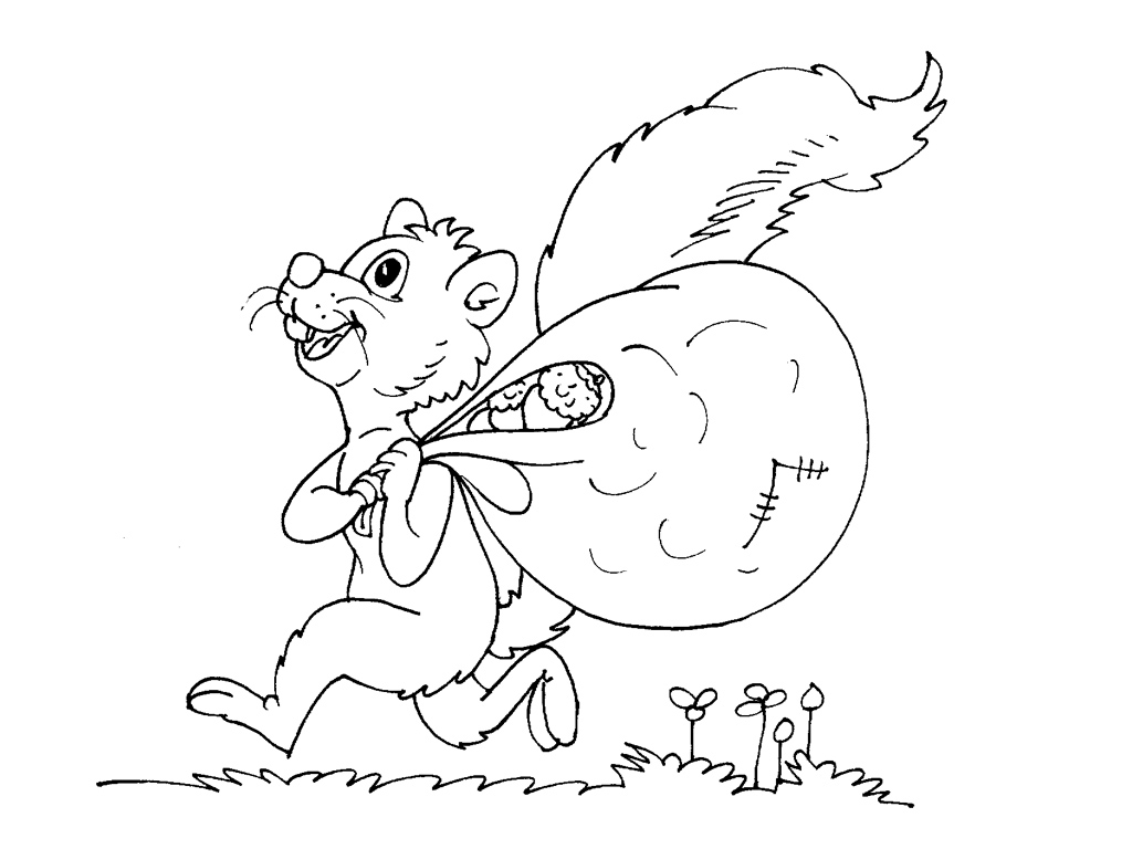 着色页: 松鼠 (动物) #6198 - 免费可打印着色页