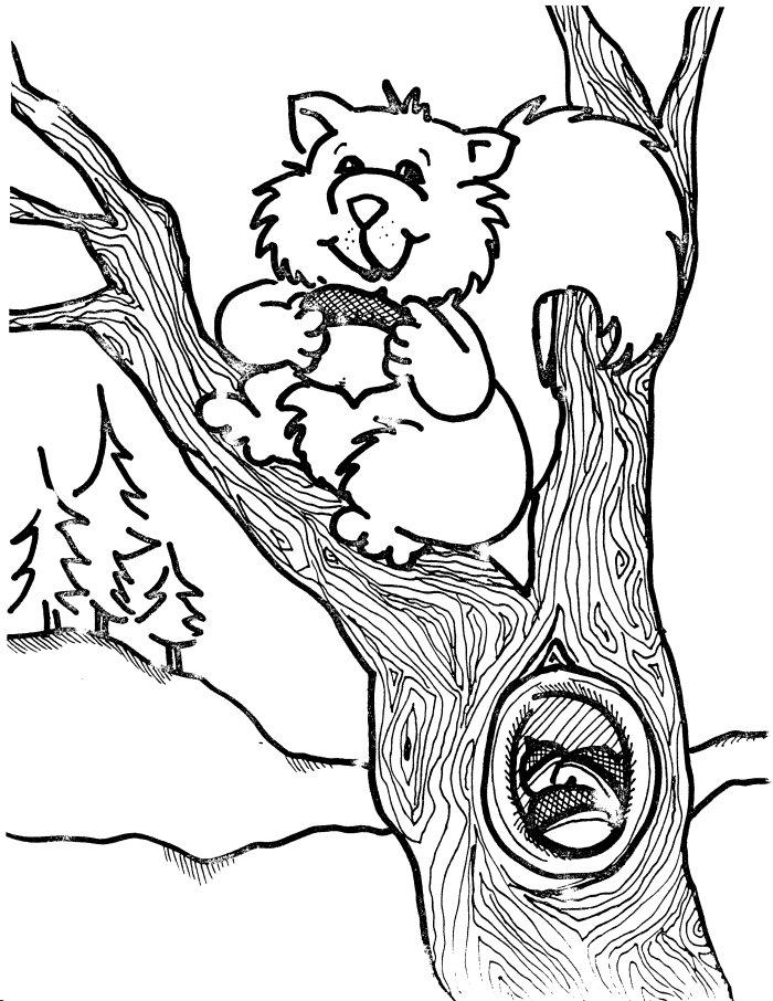 着色页: 松鼠 (动物) #6204 - 免费可打印着色页