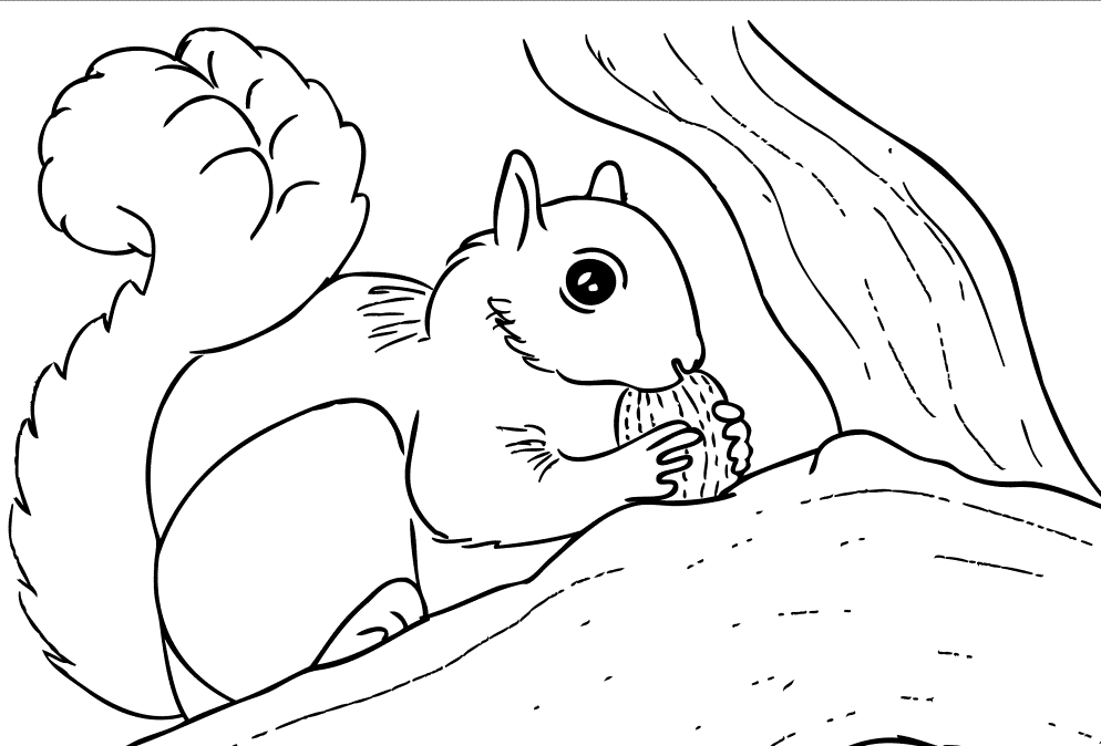 着色页: 松鼠 (动物) #6238 - 免费可打印着色页
