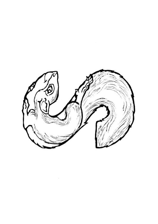 着色页: 松鼠 (动物) #6241 - 免费可打印着色页