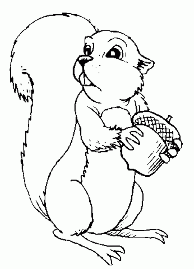 着色页: 松鼠 (动物) #6242 - 免费可打印着色页