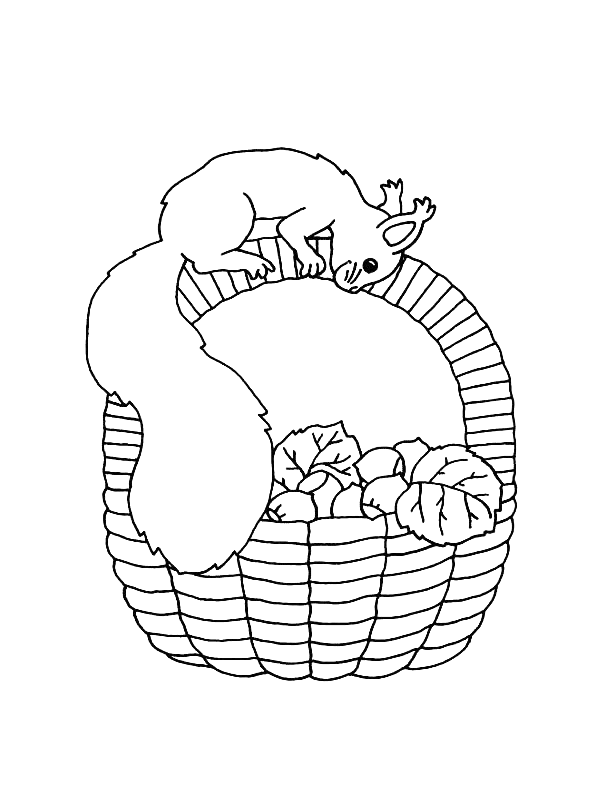 着色页: 松鼠 (动物) #6243 - 免费可打印着色页