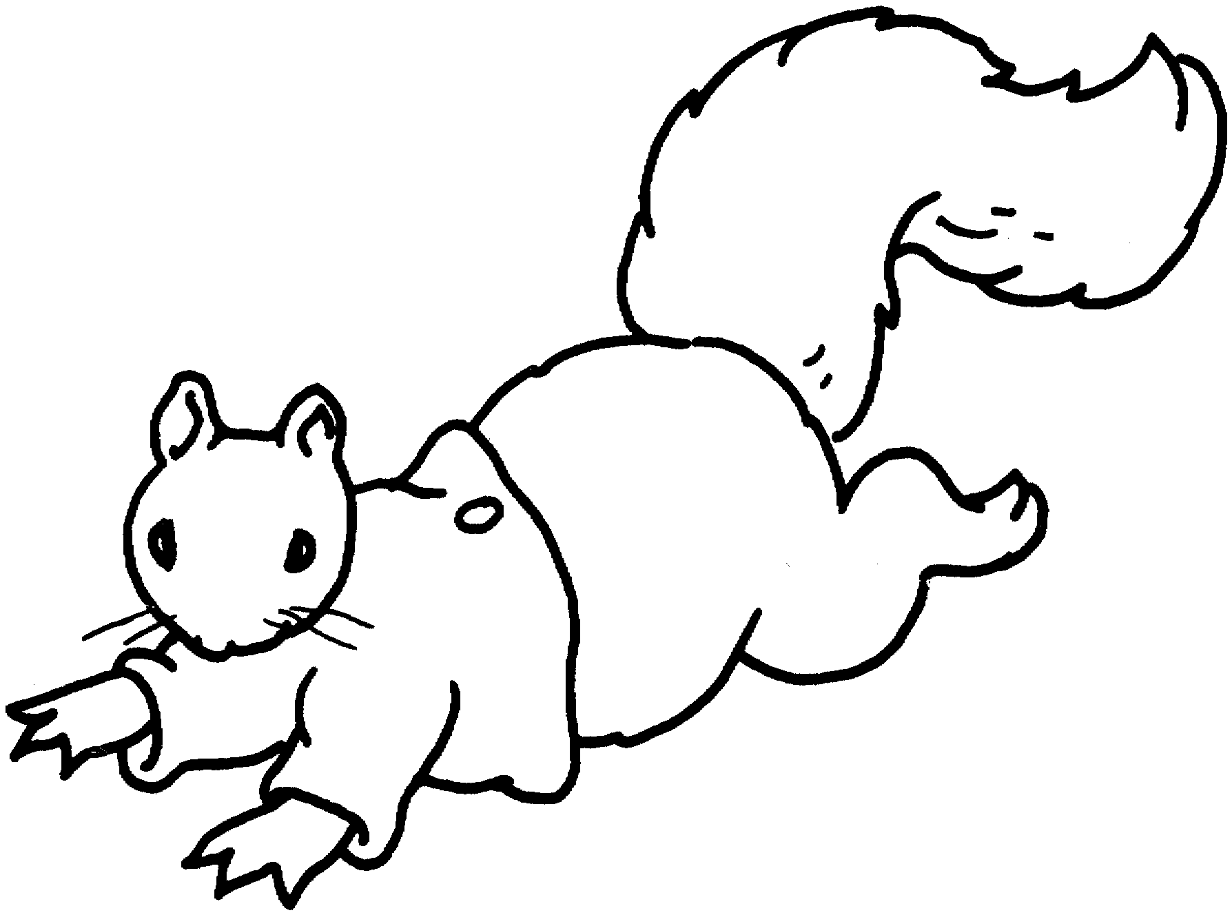 着色页: 松鼠 (动物) #6246 - 免费可打印着色页