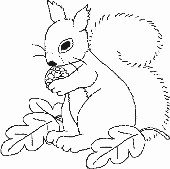 着色页: 松鼠 (动物) #6249 - 免费可打印着色页