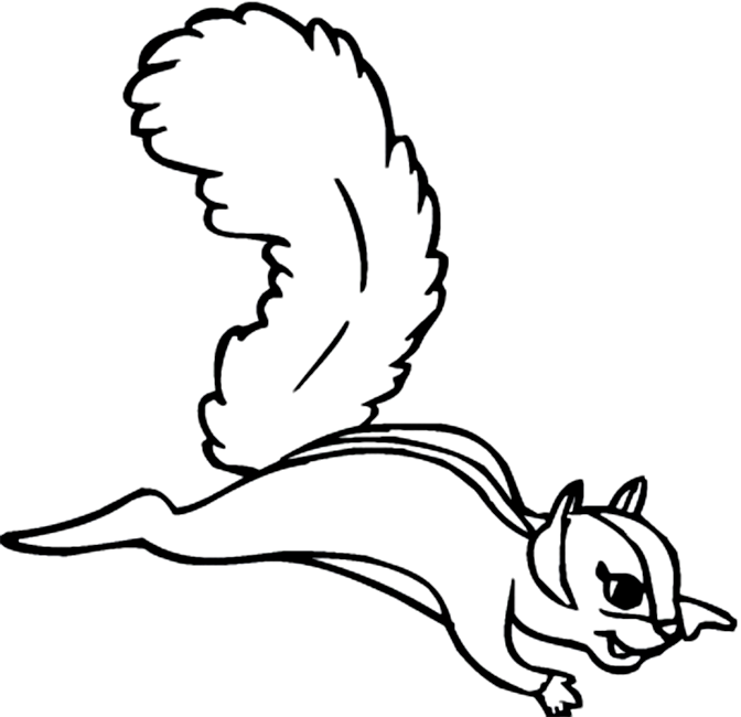 着色页: 松鼠 (动物) #6279 - 免费可打印着色页