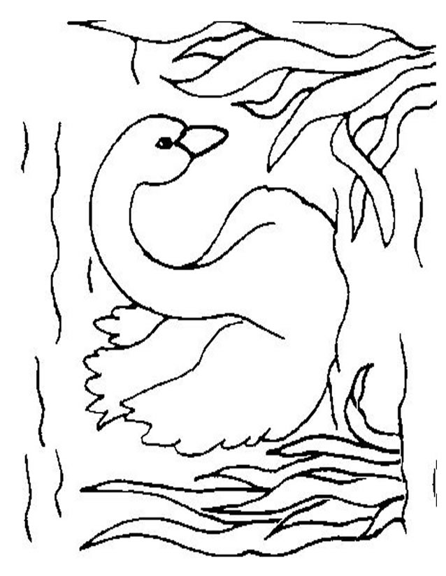 着色页: 天鹅 (动物) #5009 - 免费可打印着色页