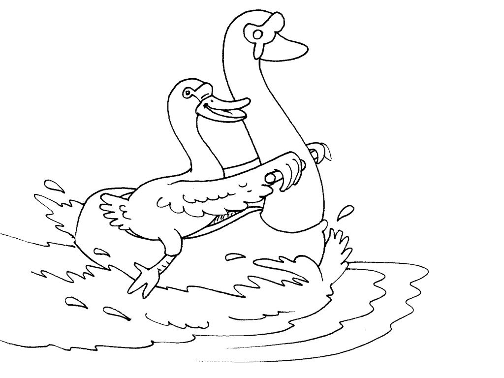 着色页: 天鹅 (动物) #5023 - 免费可打印着色页