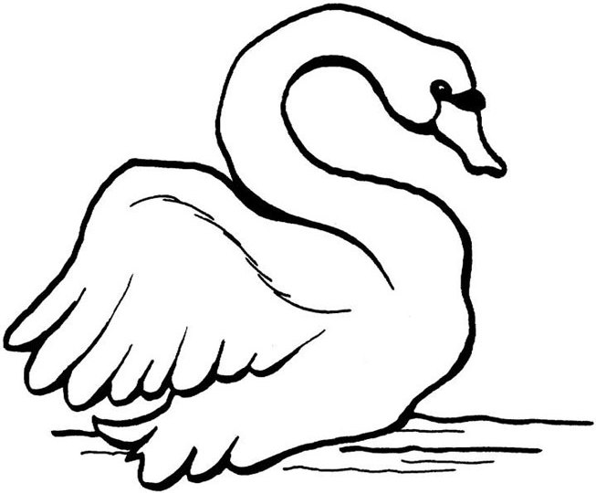 着色页: 天鹅 (动物) #5033 - 免费可打印着色页