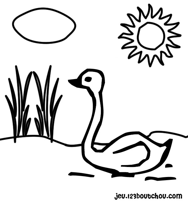 着色页: 天鹅 (动物) #5042 - 免费可打印着色页