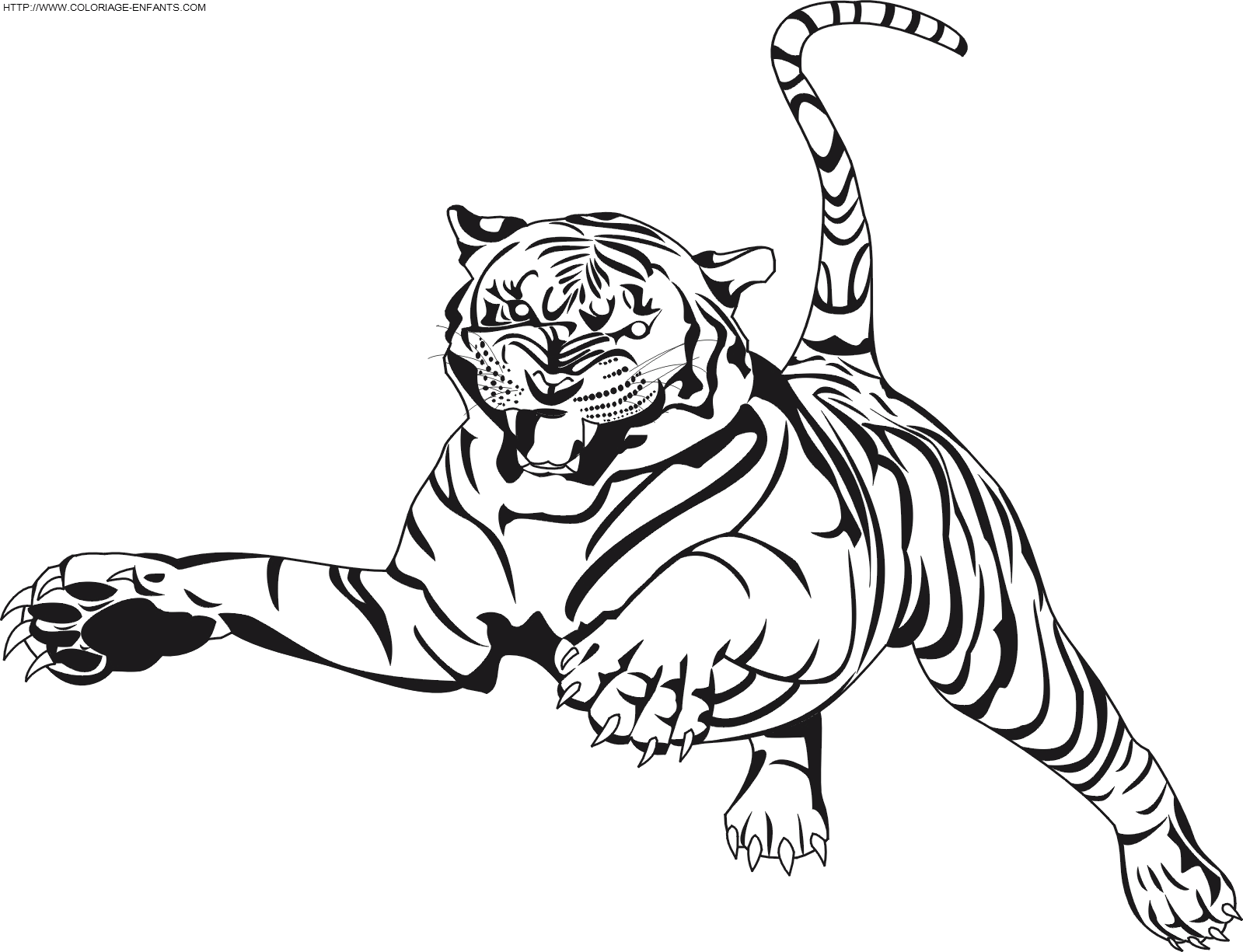 着色页: 老虎 (动物) #13608 - 免费可打印着色页