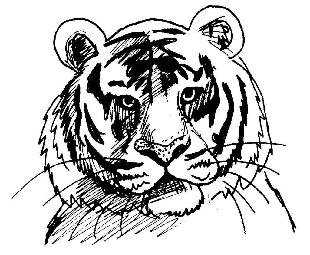 着色页: 老虎 (动物) #13610 - 免费可打印着色页