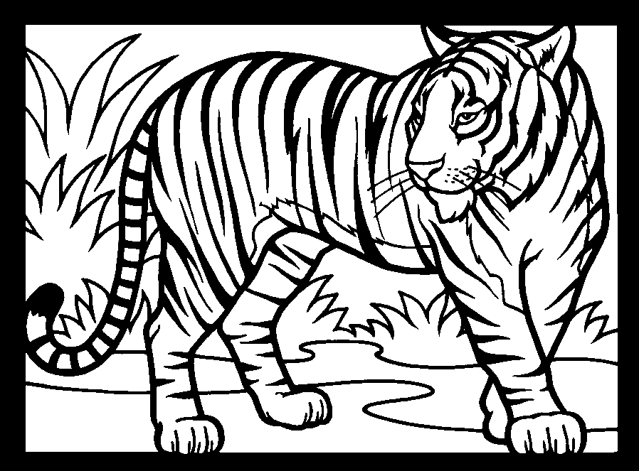 着色页: 老虎 (动物) #13615 - 免费可打印着色页