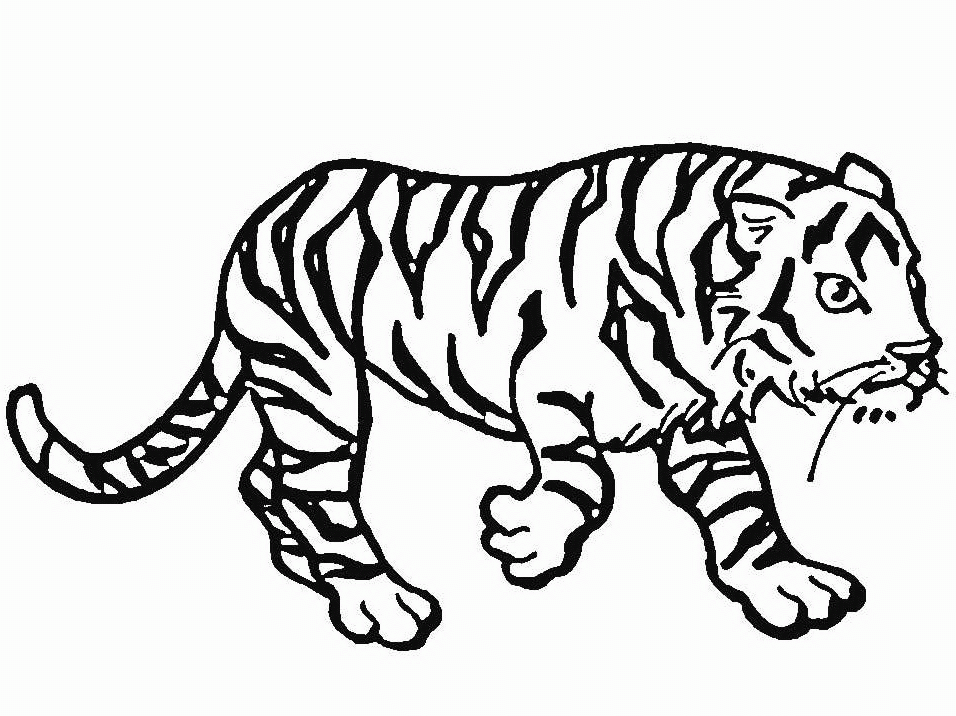 着色页: 老虎 (动物) #13629 - 免费可打印着色页