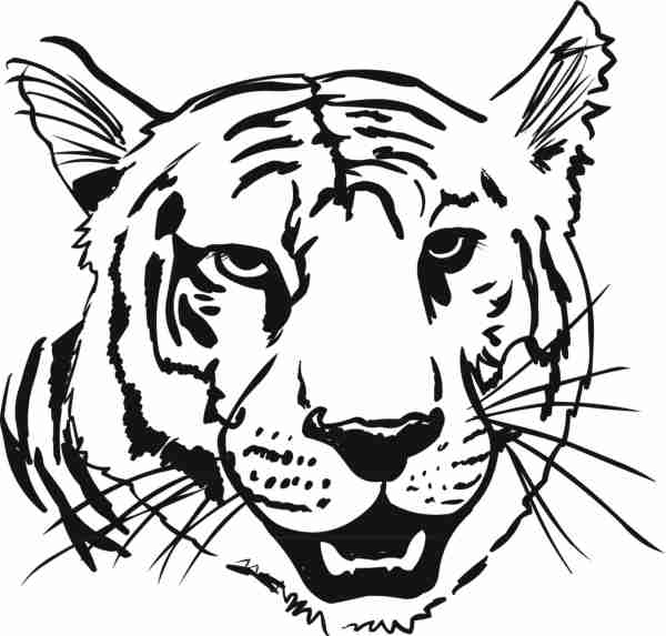 着色页: 老虎 (动物) #13666 - 免费可打印着色页