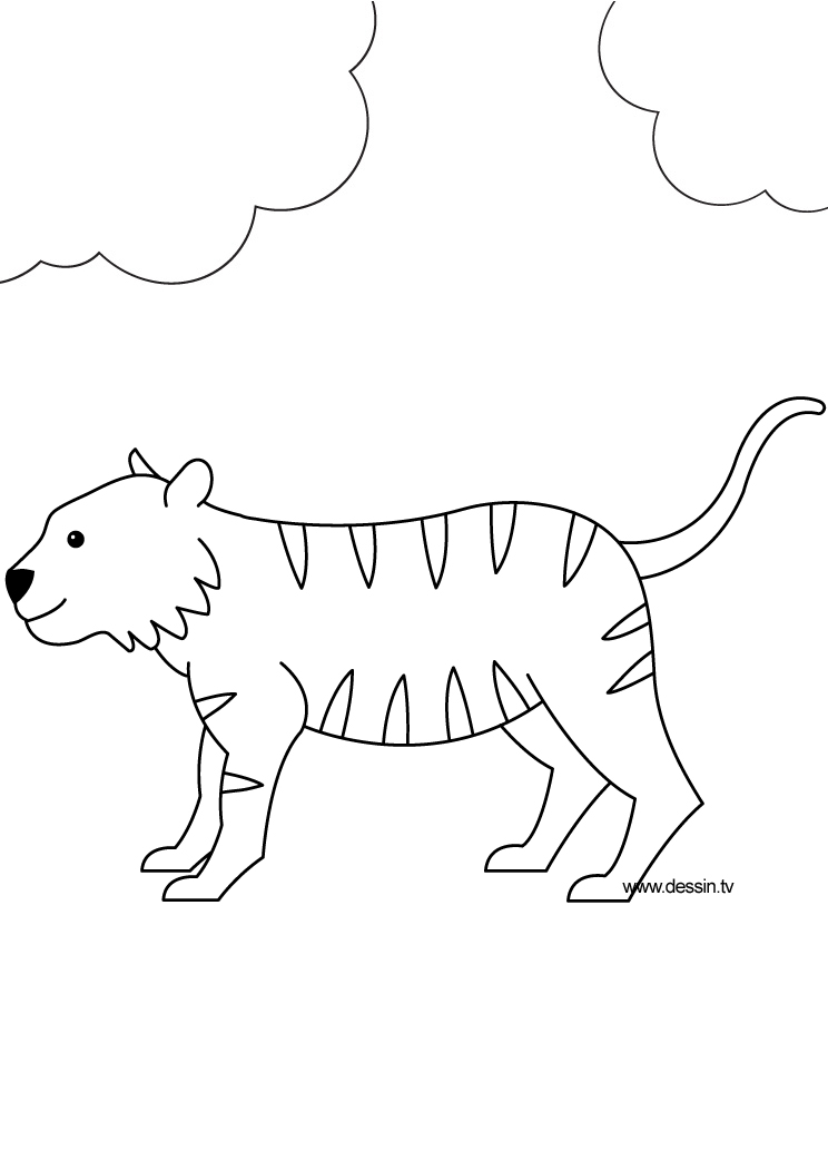 着色页: 老虎 (动物) #13733 - 免费可打印着色页