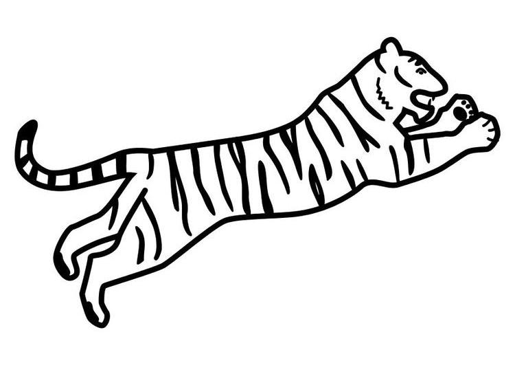着色页: 老虎 (动物) #13780 - 免费可打印着色页