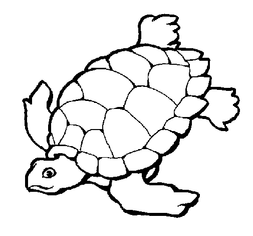 着色页: 龟 (动物) #13412 - 免费可打印着色页