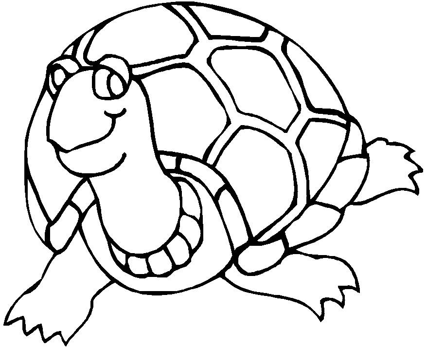 着色页: 龟 (动物) #13423 - 免费可打印着色页
