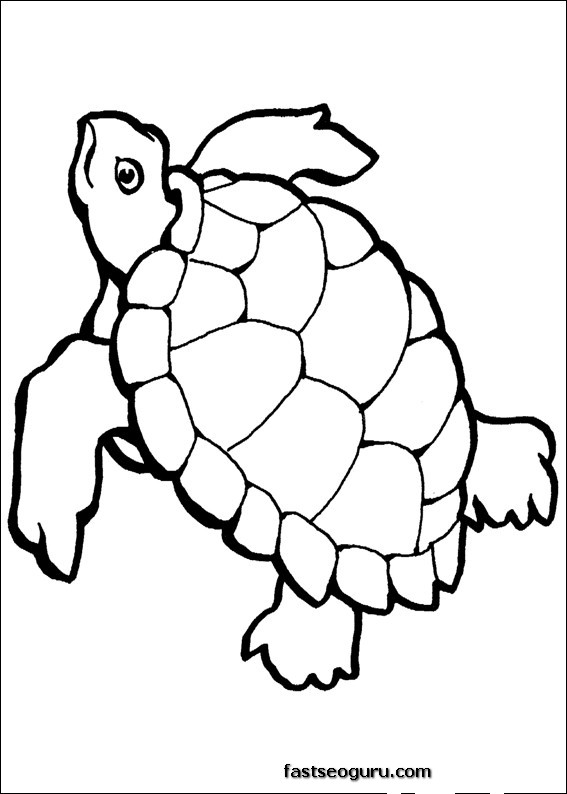 着色页: 龟 (动物) #13429 - 免费可打印着色页