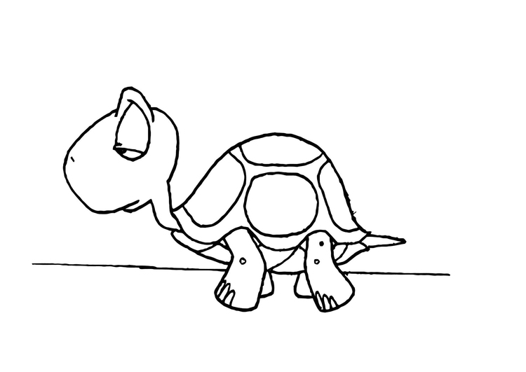 着色页: 龟 (动物) #13490 - 免费可打印着色页