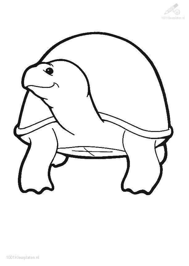 着色页: 龟 (动物) #13526 - 免费可打印着色页