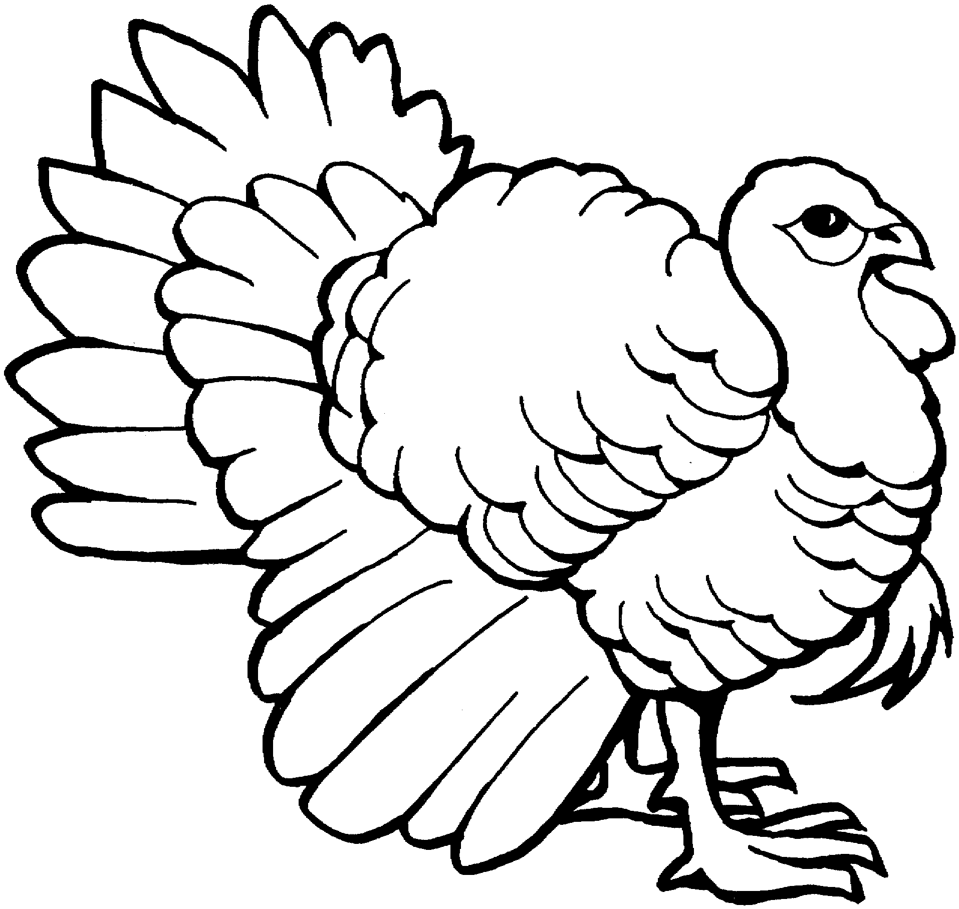 着色页: 火鸡 (动物) #5315 - 免费可打印着色页