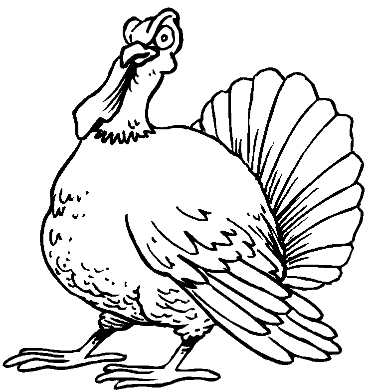 着色页: 火鸡 (动物) #5324 - 免费可打印着色页