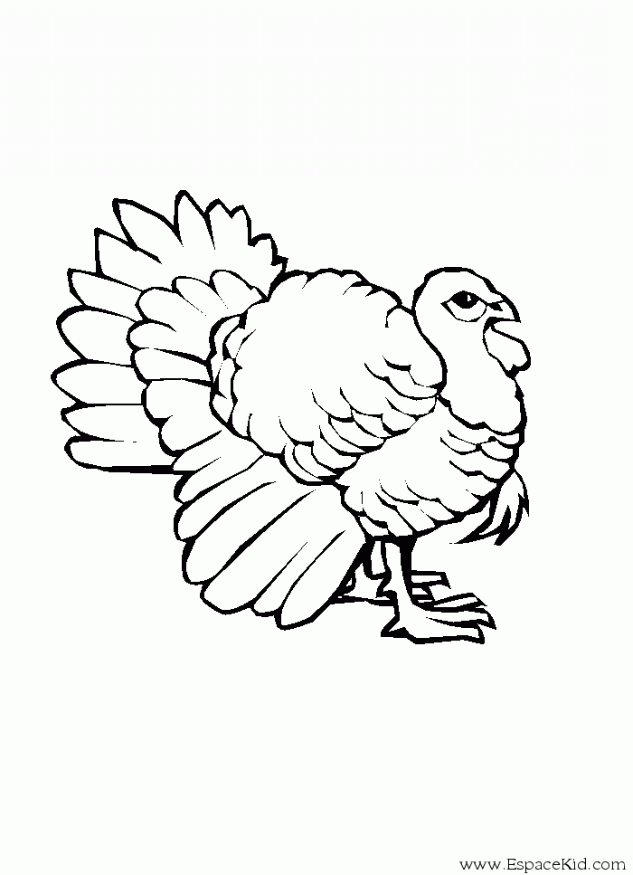 着色页: 火鸡 (动物) #5330 - 免费可打印着色页