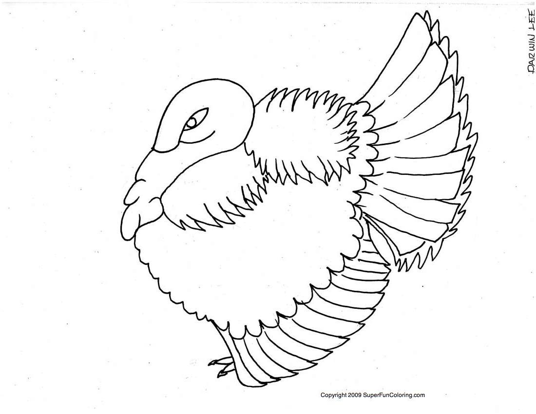着色页: 火鸡 (动物) #5353 - 免费可打印着色页
