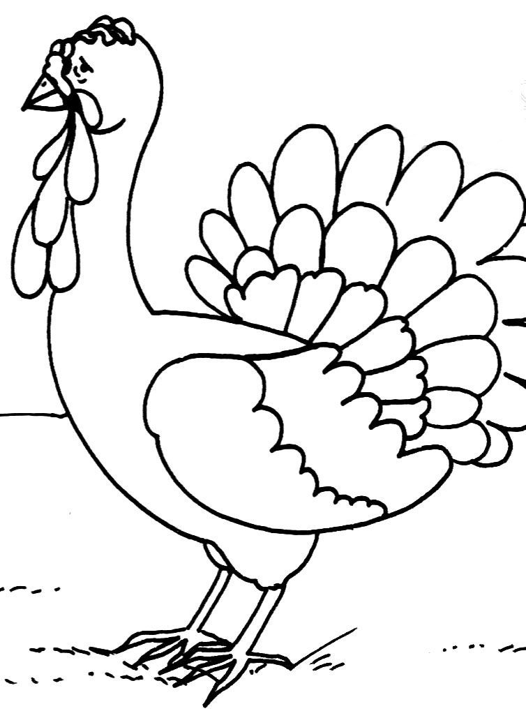 着色页: 火鸡 (动物) #5443 - 免费可打印着色页