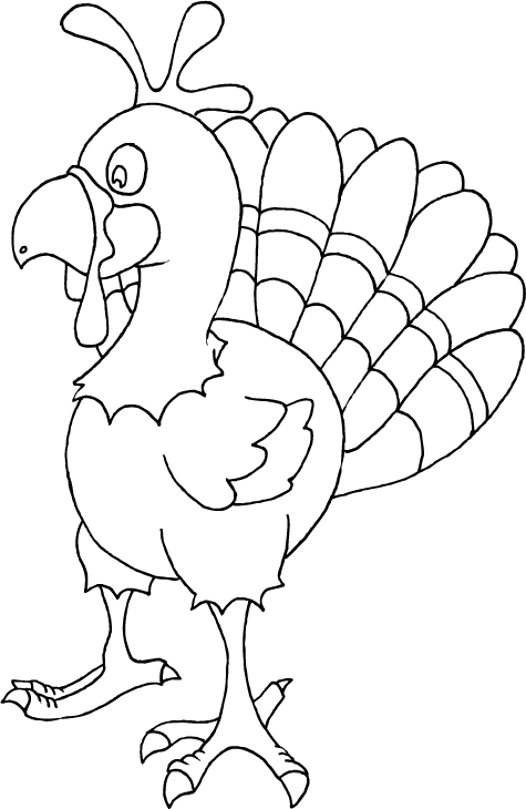 着色页: 火鸡 (动物) #5448 - 免费可打印着色页