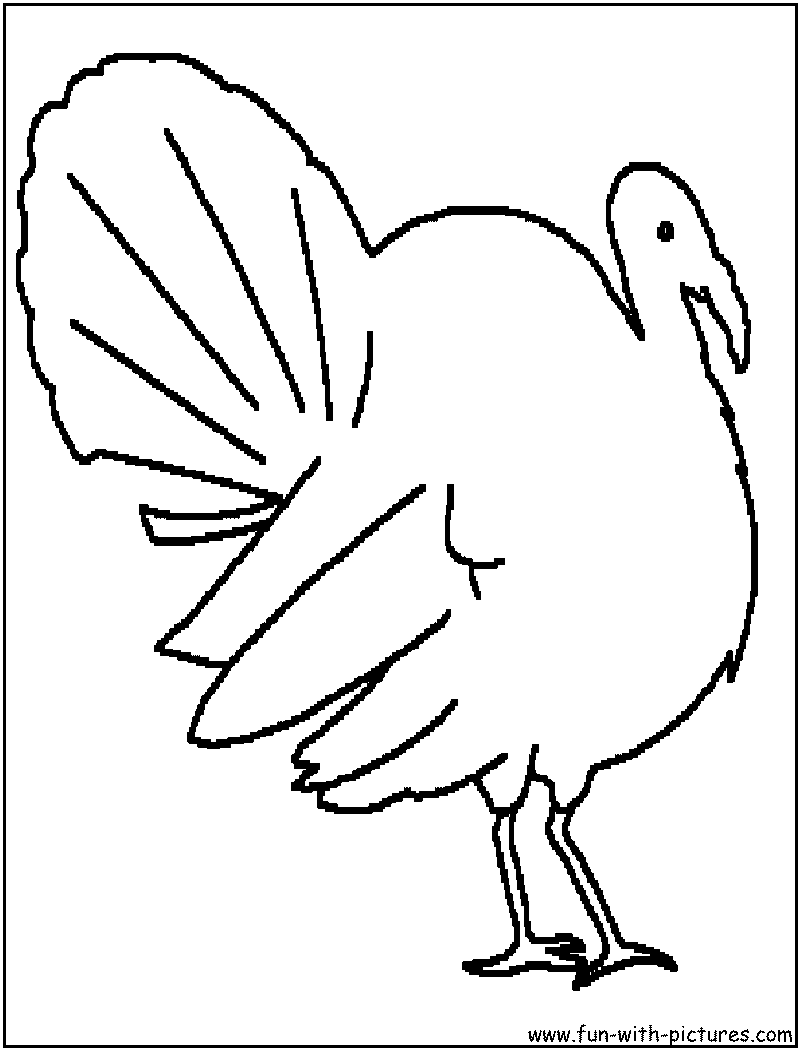 着色页: 火鸡 (动物) #5465 - 免费可打印着色页
