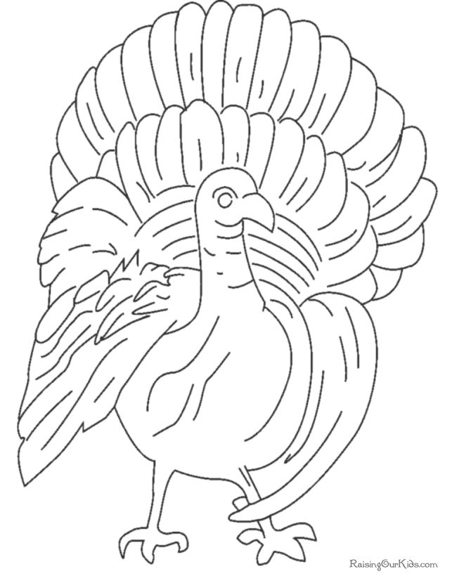 着色页: 火鸡 (动物) #5482 - 免费可打印着色页