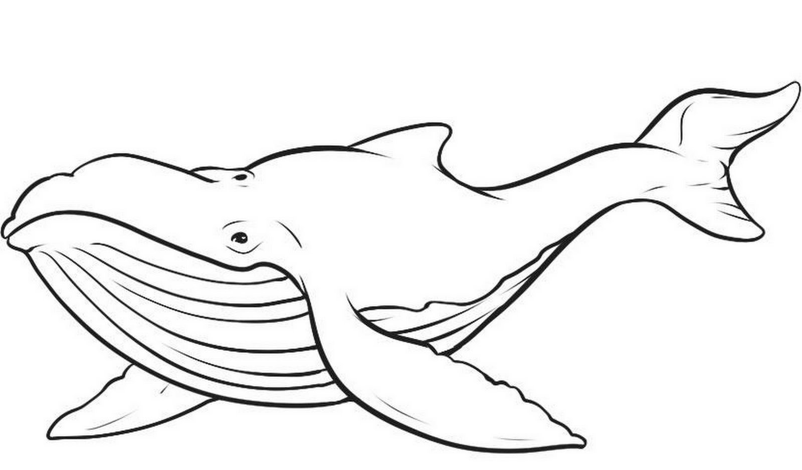 着色页: 鲸 (动物) #865 - 免费可打印着色页