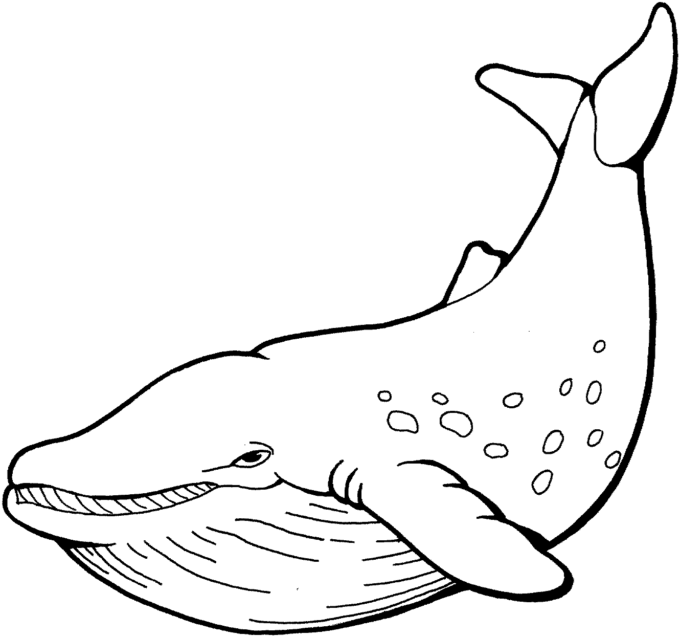 着色页: 鲸 (动物) #866 - 免费可打印着色页