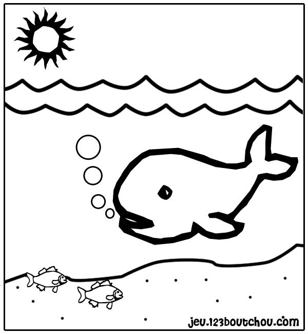 着色页: 鲸 (动物) #867 - 免费可打印着色页