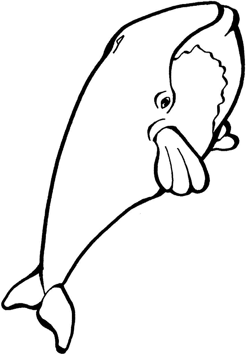 着色页: 鲸 (动物) #880 - 免费可打印着色页