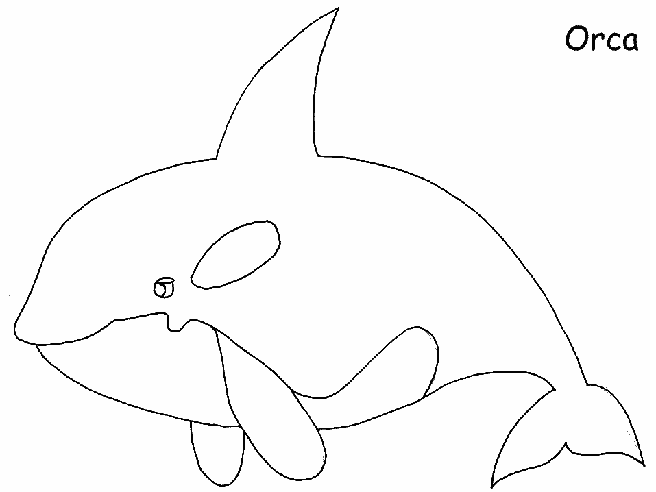 着色页: 鲸 (动物) #891 - 免费可打印着色页