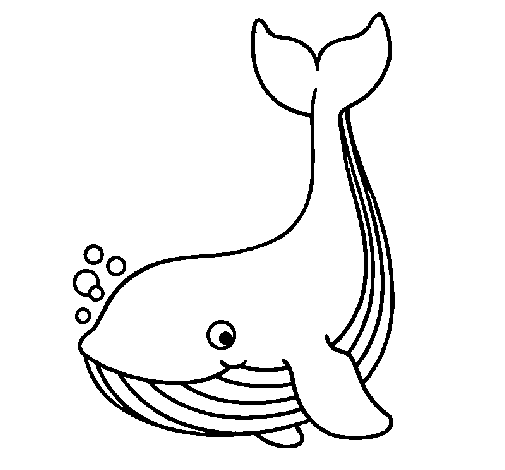 着色页: 鲸 (动物) #906 - 免费可打印着色页