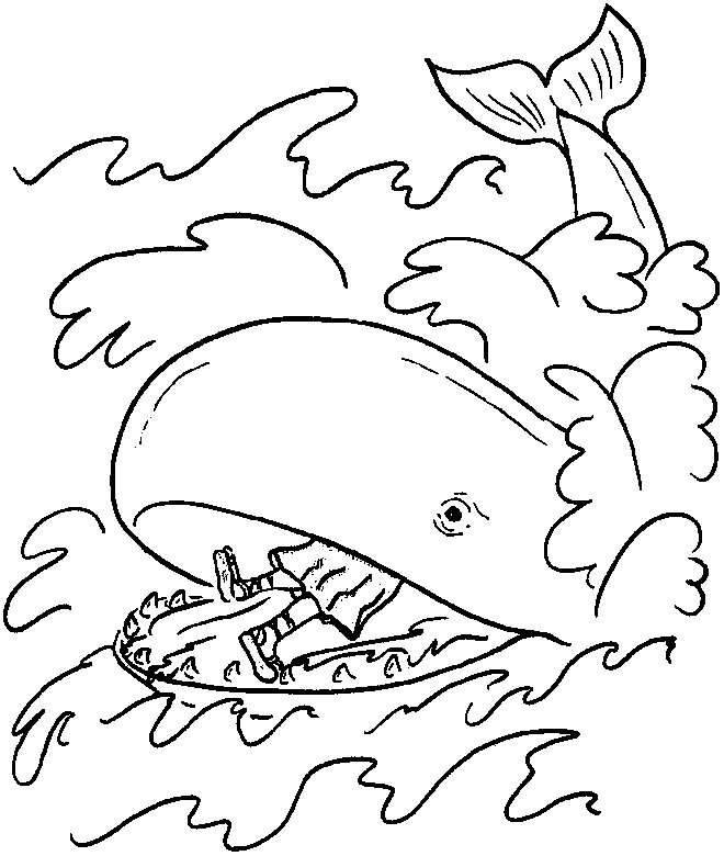 着色页: 鲸 (动物) #916 - 免费可打印着色页
