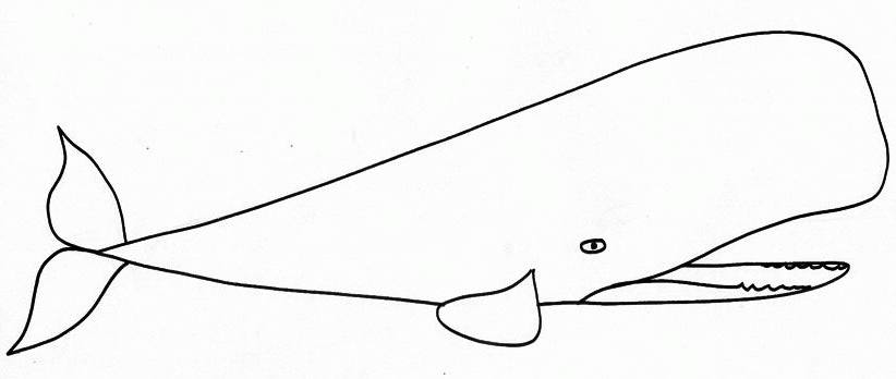 着色页: 鲸 (动物) #929 - 免费可打印着色页