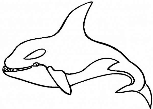 着色页: 鲸 (动物) #941 - 免费可打印着色页