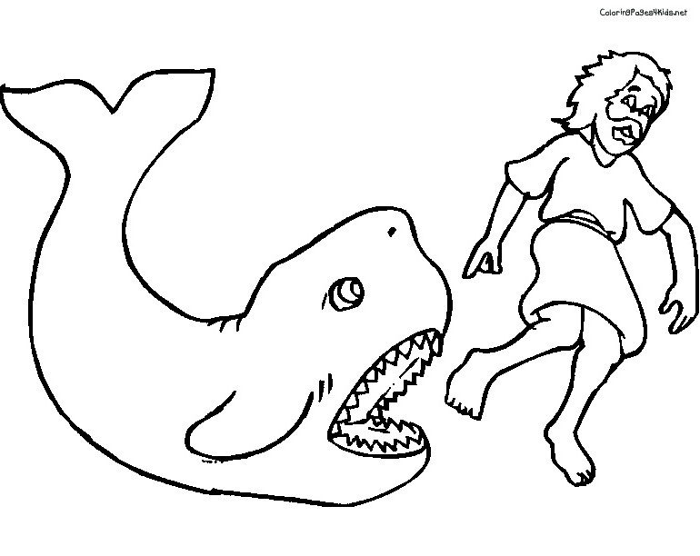 着色页: 鲸 (动物) #956 - 免费可打印着色页