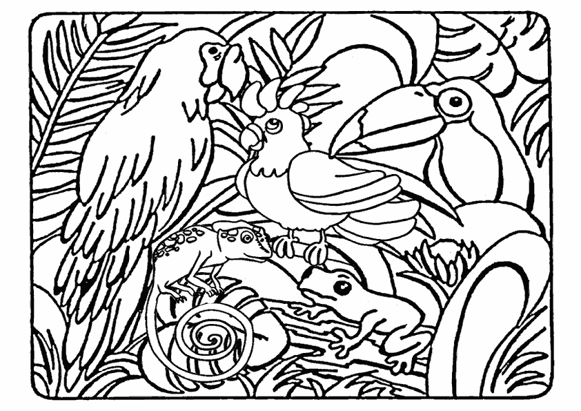 着色页: 野生/丛林动物 (动物) #21082 - 免费可打印着色页