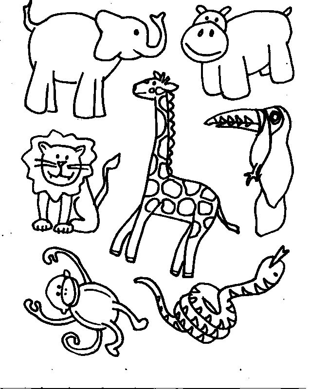 着色页: 野生/丛林动物 (动物) #21090 - 免费可打印着色页