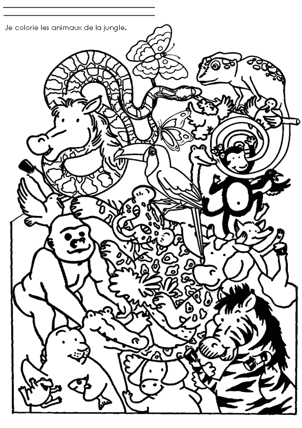 着色页: 野生/丛林动物 (动物) #21091 - 免费可打印着色页