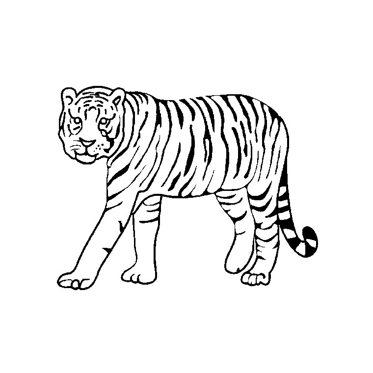 着色页: 野生/丛林动物 (动物) #21092 - 免费可打印着色页