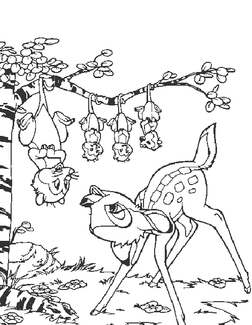 着色页: 野生/丛林动物 (动物) #21095 - 免费可打印着色页