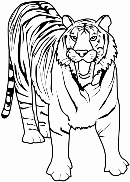 着色页: 野生/丛林动物 (动物) #21130 - 免费可打印着色页