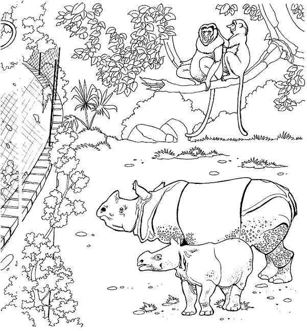 着色页: 野生/丛林动物 (动物) #21136 - 免费可打印着色页